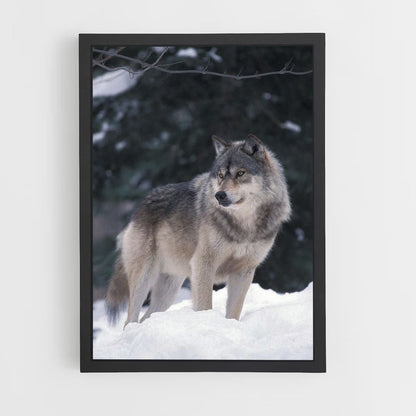 Póster Lobo de Inverno