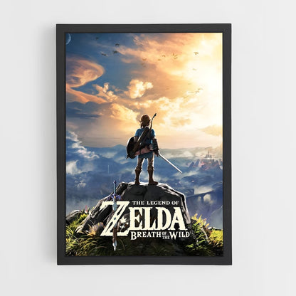 zelda-9 cadre Noir