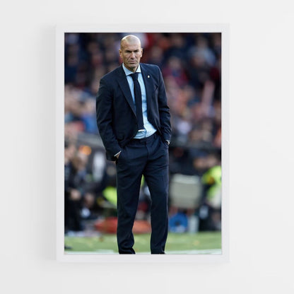 Pôster Fantasia de Zidane