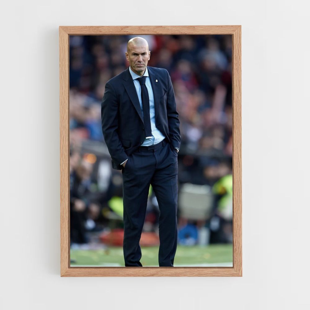 Pôster Fantasia de Zidane